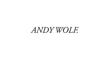 Andy Wolf