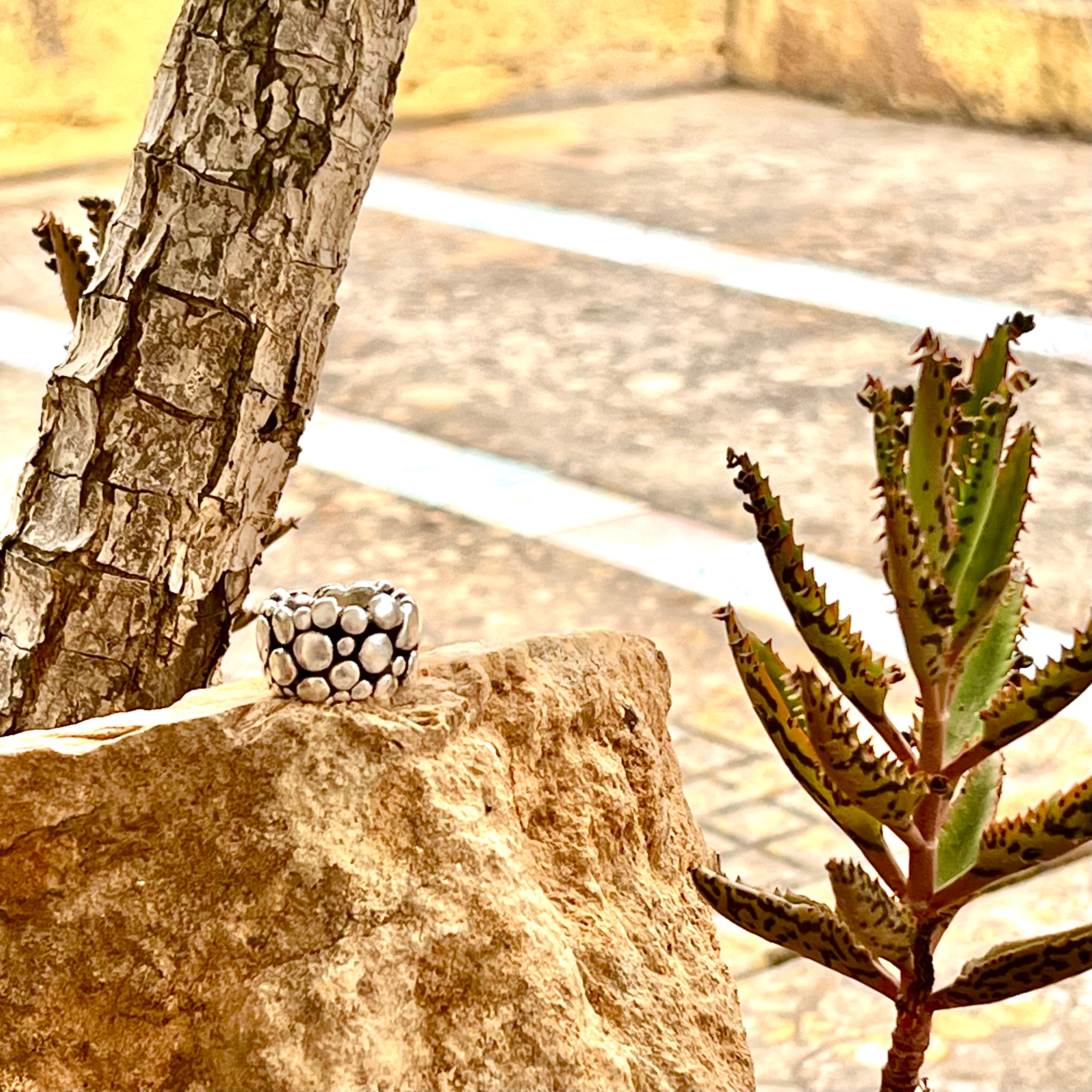 MURO-thumbmail-3