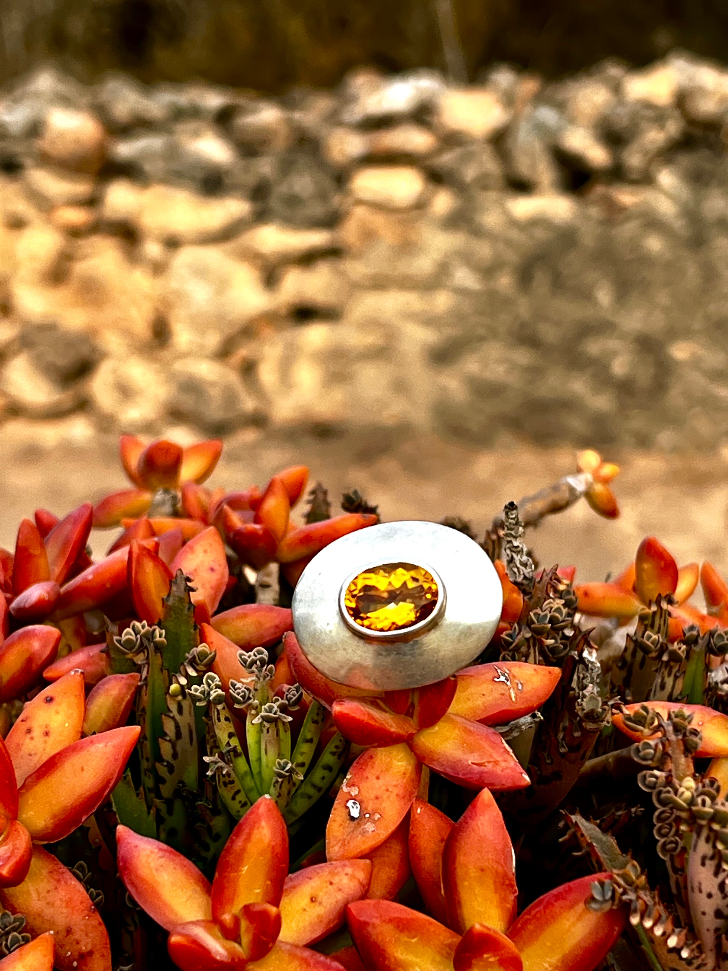 SOMBRERO CITRINE-thumbmail-1